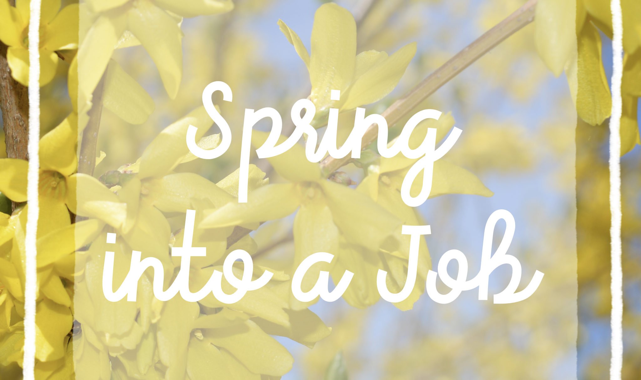 spring into a job