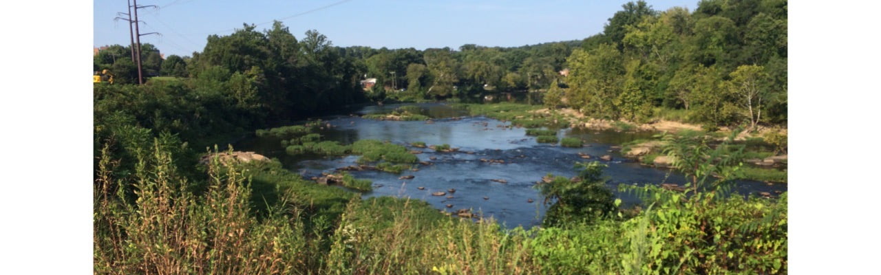 Top 8 Outdoor Hikes in Greater Fredericksburg