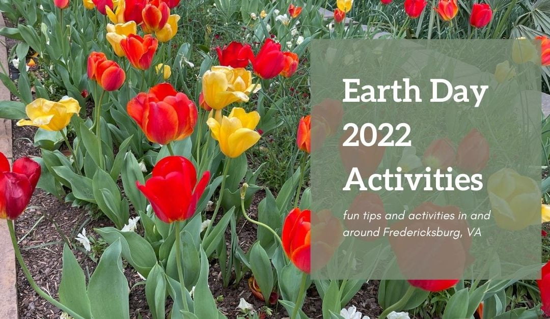 red and yellow tulips and Earth Day 2022 Activities